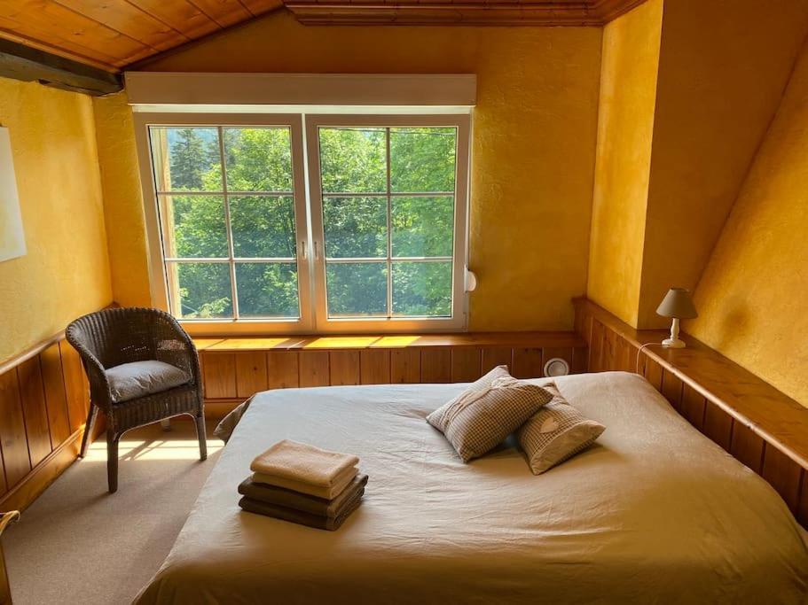 Ferme De Chenezeau - 15 Personnes , 7 Chambres Gerardmer Bagian luar foto